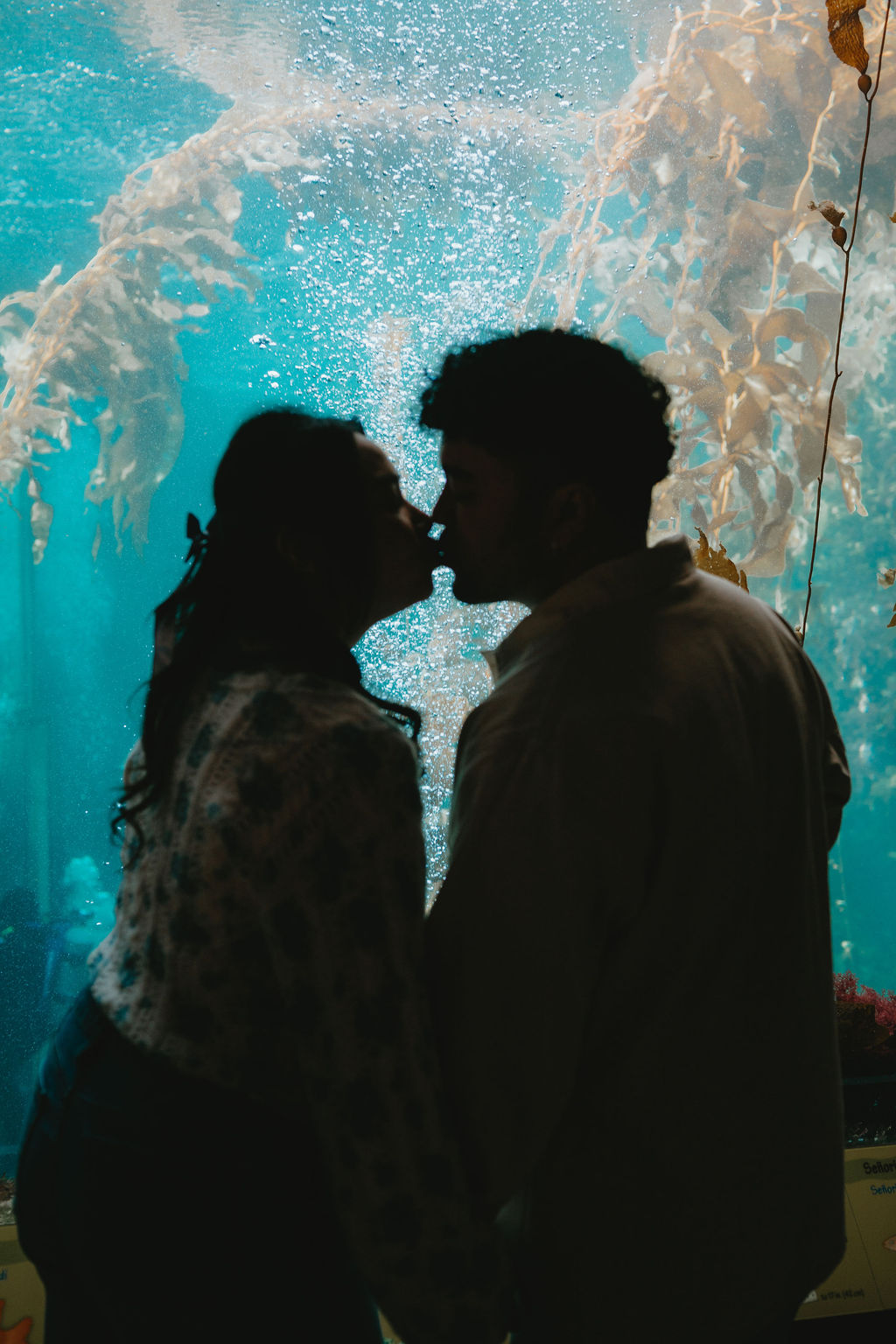 Couple kisses during cinematic engagement photoshoot at Monterey Bay Aquarium